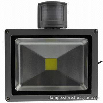 Cool white 6,500k IP65 super bright 30w LED flood light